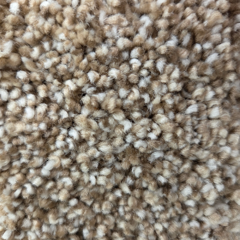 Hound-of-Music-II-toasted-oat-800x800